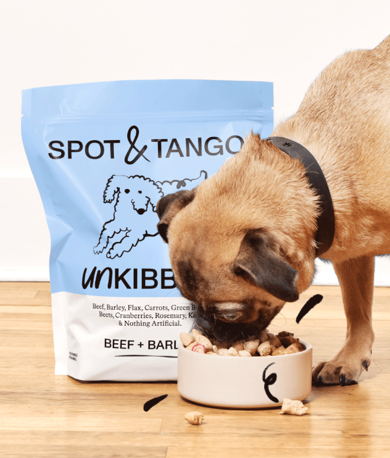 Meet UnKibble The only Fresh Dry food for dogs